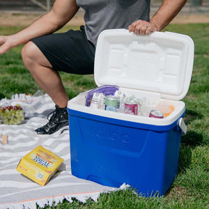 Igloo Laguna Cool Box Blue 28 QT