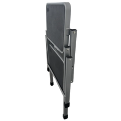 Liberty Folding Double Step