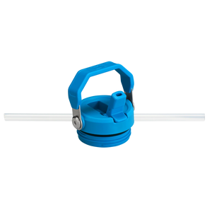 Stanley IceFlow™ Bottle Flip Straw 2.0 | 1.06L -  Azure