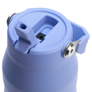 Stanley IceFlow™ Bottle Flip Straw 2.0 | 1.06L -  Hydrangea