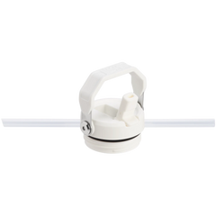 Stanley IceFlow™ Bottle Flip Straw 2.0 | 1.06L - Frost