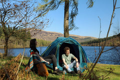 zelt vango alpha 300 Vango Alpha 300 CLR Tent