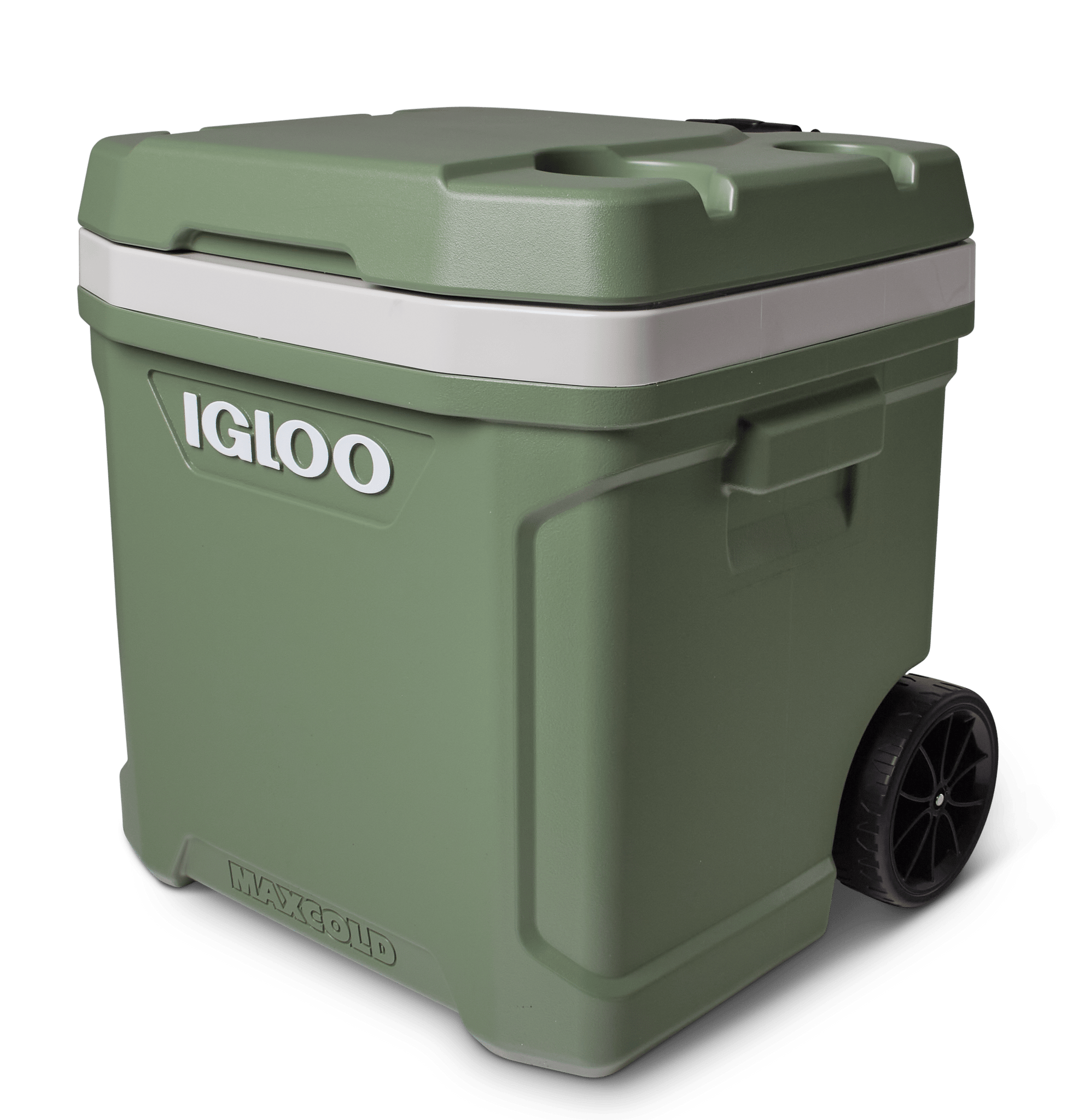 Igloo latitude hot sale 60 review
