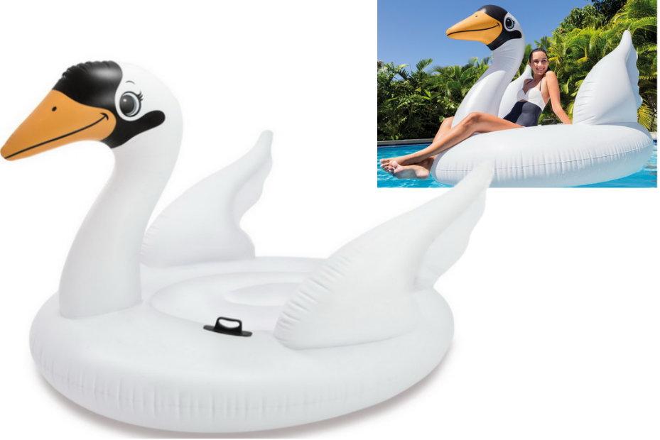 Intex swan ride store on