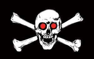 Pirate Skull with Red Eyes Flag 5ft by 3ft, windsocks