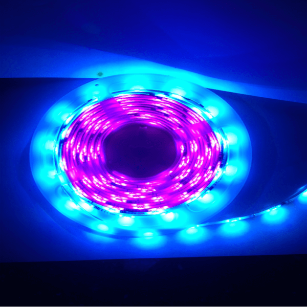 5M Flag Pole Pre Set Digital Led Dream Lights Strip flag pole lights