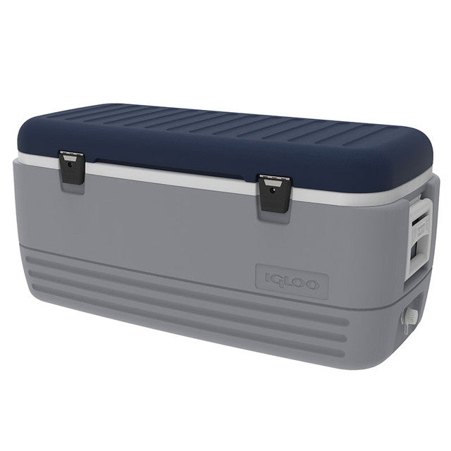 Igloo hot sale maxcold 120